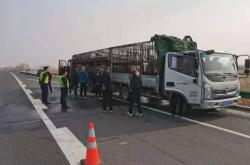 赤峰批發(fā)豬凍貨市場(chǎng)電話號(hào)碼