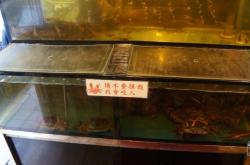 赤峰松山區(qū)海鮮飯店電話多少