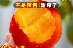 赤峰采摘園油桃電話號(hào)碼查詢(xún)