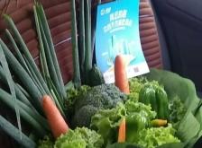 赤峰閃送私家車電話號(hào)碼