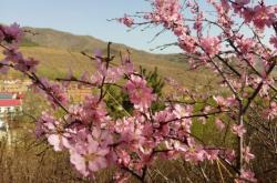 赤峰喀喇沁武術(shù)場(chǎng)館電話(huà)號(hào)碼