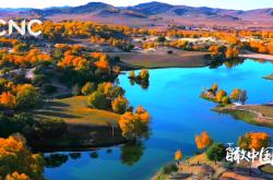 赤峰安航玻璃電話號碼查詢