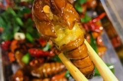 內蒙古赤峰賣蠶蛹電話號碼