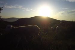 赤峰佳能實體店電話號碼查詢