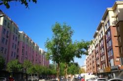 赤峰紅山貨梯電話號(hào)碼多少