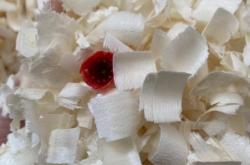 赤峰刨花出售電話號碼查詢地址