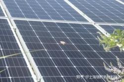 赤峰透光彩色組件廠電話號碼