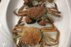 赤峰億隆海鮮電話號(hào)碼查詢是多少