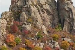 赤峰林西烤羊排地址電話號(hào)碼