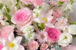 赤峰鮮花抱抱桶廠家電話地址