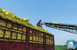 赤峰西橋煙花店電話地址查詢