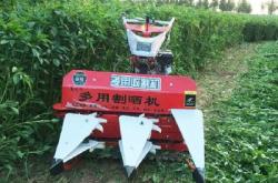 赤峰賣秸稈電話號碼查詢地址