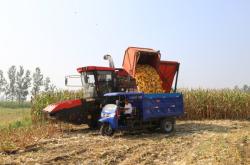 赤峰市玉米收割團(tuán)隊(duì)電話號(hào)碼