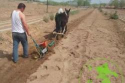 赤峰小米智能燈專賣店電話號(hào)碼