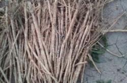 赤峰藥材市場的電話號碼是多少