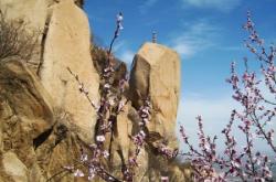 赤峰到鳳凰嶺客車電話號(hào)碼