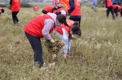 赤峰紅山區(qū)助農(nóng)辦電話號碼