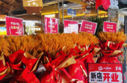 赤峰哪里收購大鵝