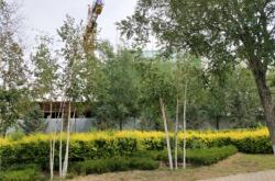 赤峰摩爾城嬰兒車店電話號碼