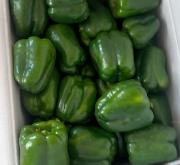 赤峰蔬菜基地聯(lián)系電話號碼