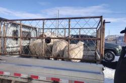 東烏旗到赤峰的電話(huà)