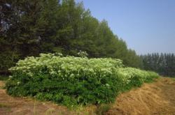 赤峰市木頭溝鄉(xiāng)電話號碼