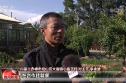 赤峰賣小娃娃電話多少錢