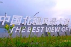 赤峰烏蘭布統(tǒng)飯店電話地址查詢