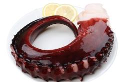 赤峰爆頭八爪魚店電話號碼