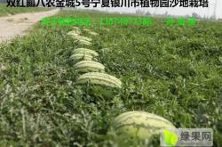 赤峰種植大棚管理處電話號碼