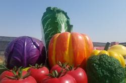 赤峰小房村街道電話號碼是多少