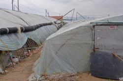 赤峰市租賃大棚電話地址查詢