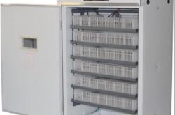 赤峰雞鴨鵝孵化基地電話號(hào)碼