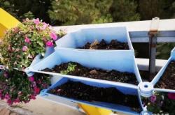 赤峰賣花盆直播平臺電話號碼