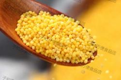 赤峰米赫養(yǎng)生館招聘電話號(hào)碼