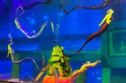 赤峰北辰海洋館購票電話號(hào)碼