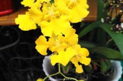 赤峰天虹花奔市場電話號碼