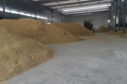 赤峰稻谷收購電話號(hào)碼查詢是多少