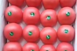 赤峰大城子市場(chǎng)電話多少號(hào)