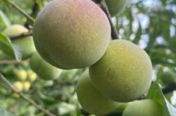 赤峰李家銀匠店電話號碼查詢