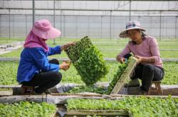 赤峰周邊育苗廠電話號(hào)碼查詢