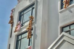 赤峰加油小熊電話多少號碼