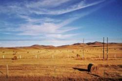 赤峰鮮草工廠電話多少號(hào)