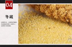 赤峰附近收糧人電話多少號(hào)