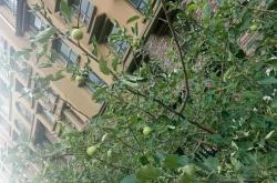 赤峰到錫林浩特貨車電話號(hào)碼