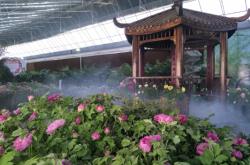 赤峰大雙廟月餅店電話號碼