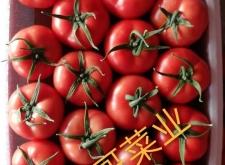 赤峰水果批發(fā)連鎖店電話號(hào)碼