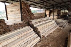 赤峰市木材加工廠聯(lián)系電話