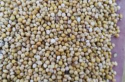 赤峰谷子實體店電話號碼