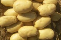 赤峰收購?fù)炼闺娫捥柎a多少號